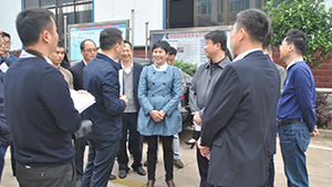 湘潭市市长谈文胜来公司考察